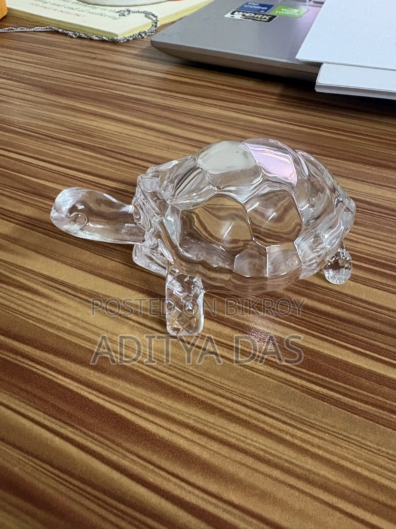 Manifestation Lucky Turtle | Brings Luck in Home