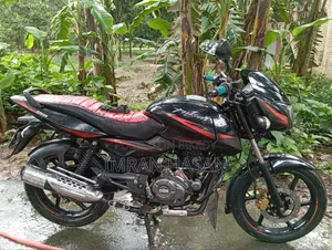 Bajaj Pulsar 150 2019 Black