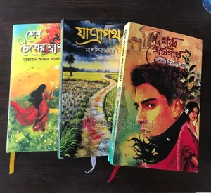 উপন্যাস বই