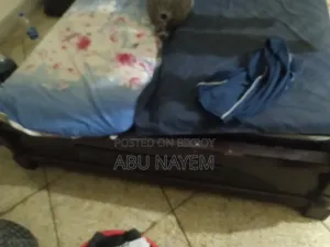 Bed Furniture