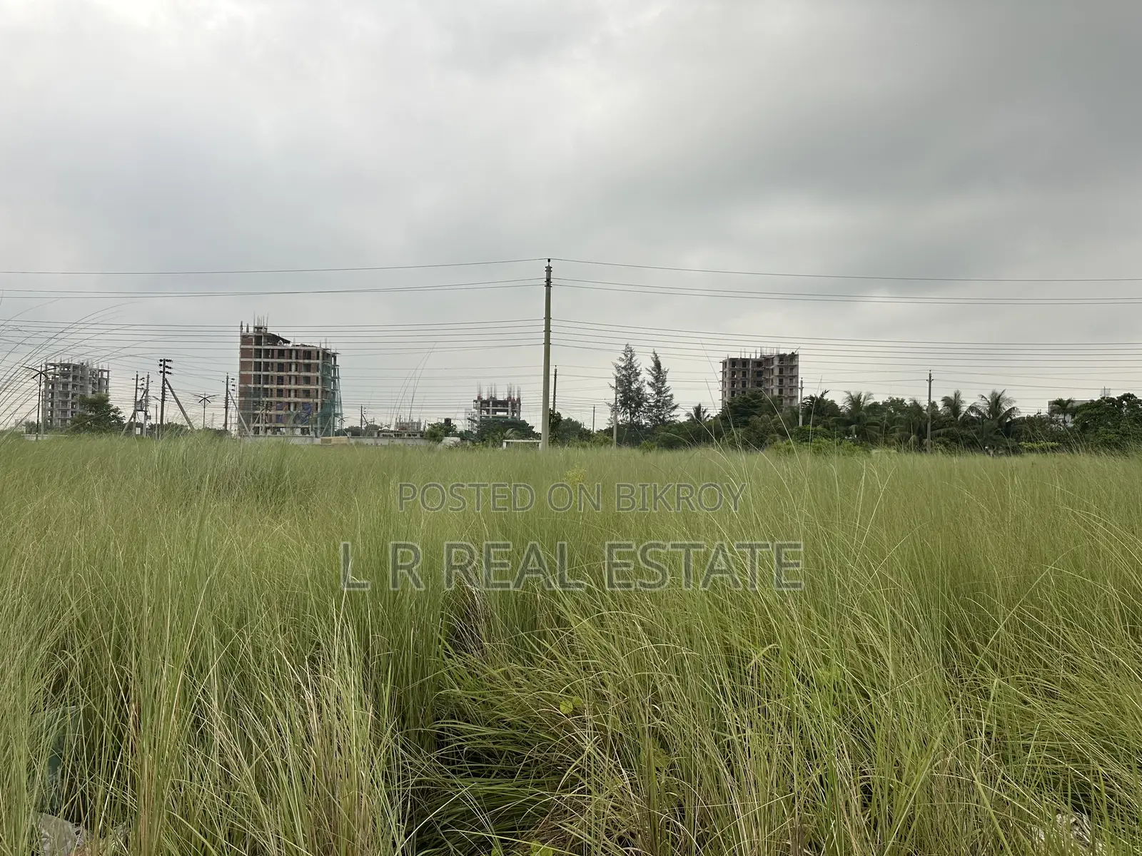পি ব্লক, ৩ কাঠা, দক্ষিণমুখী, প্লট বিক্রি, বসুন্ধরা আর/এ