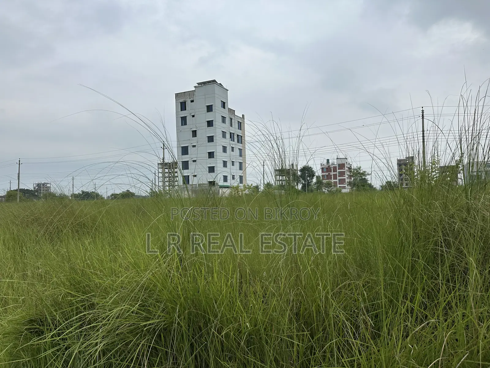 পি ব্লক, ৩ কাঠা, দক্ষিণমুখী, প্লট বিক্রি, বসুন্ধরা আর/এ