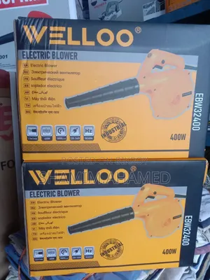 Welloo Electric Hand Blower