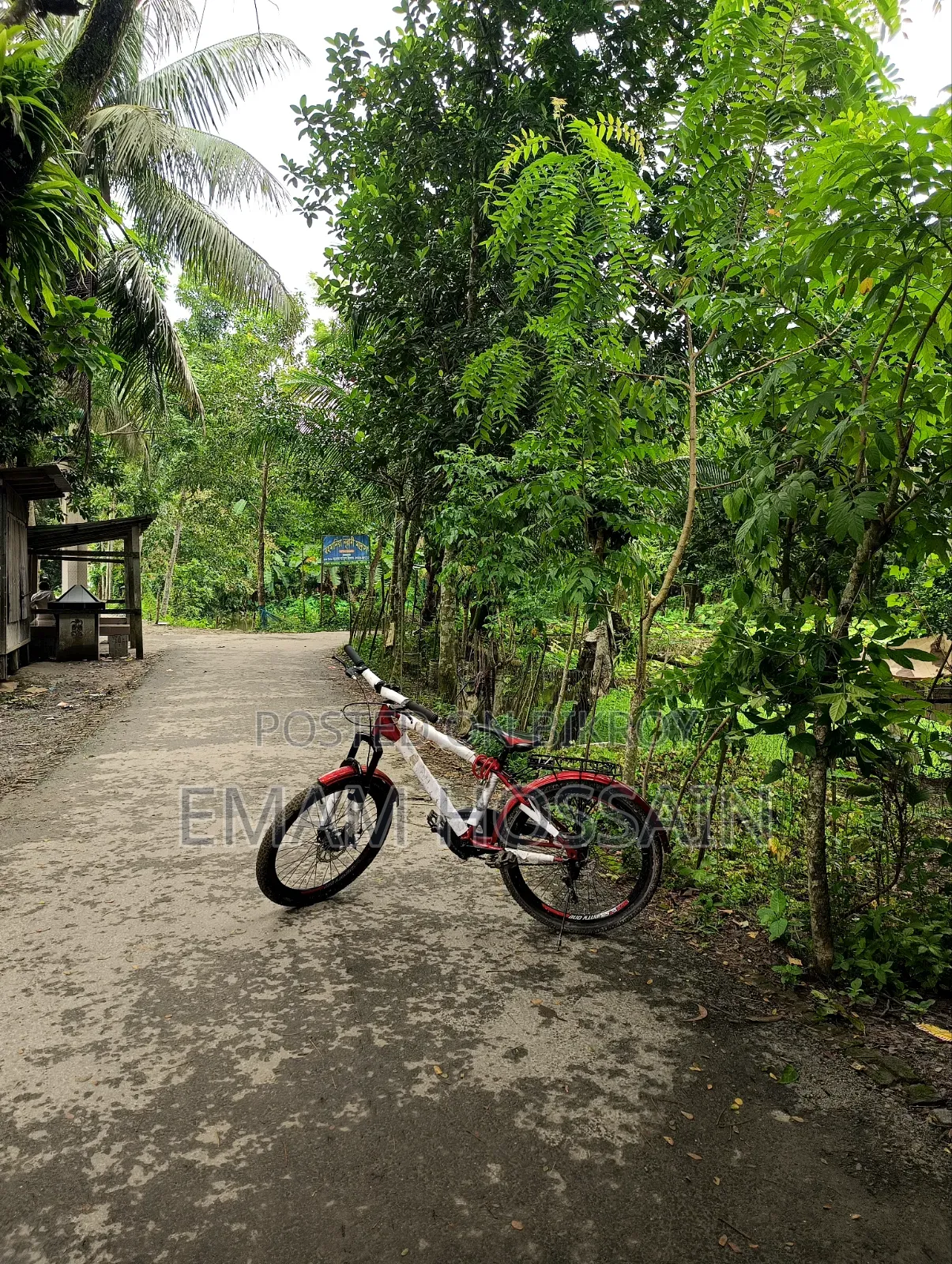 রিয়েলমি ১১ প্রো+ ২৫৬ জিবি হোয়াইট