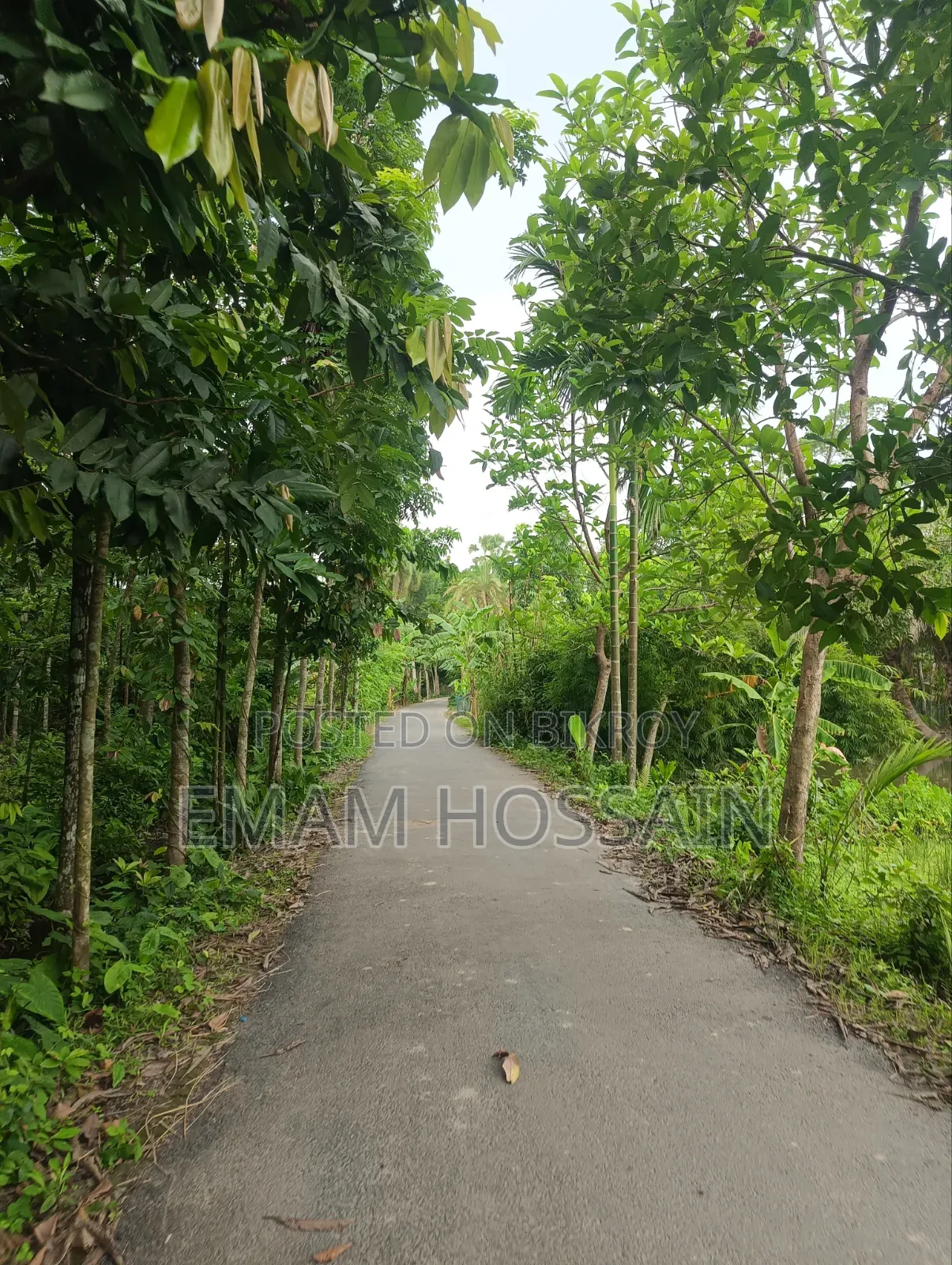 রিয়েলমি ১১ প্রো+ ২৫৬ জিবি হোয়াইট