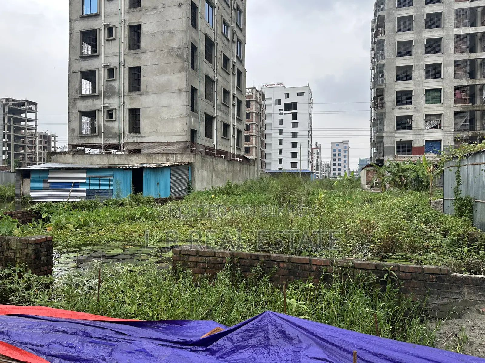 M Block, 3 Katha, South Facing Plot Urgent Sell, Bashundhara R/A