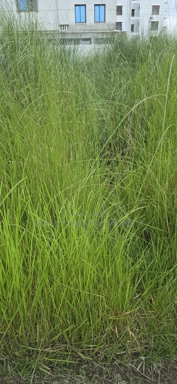 উত্তরা তৃতীয় প্রকল্প সেক্টর -১৭/জি১,উত্তরমুখী তিন কাঠা প্লট বিক্রয়