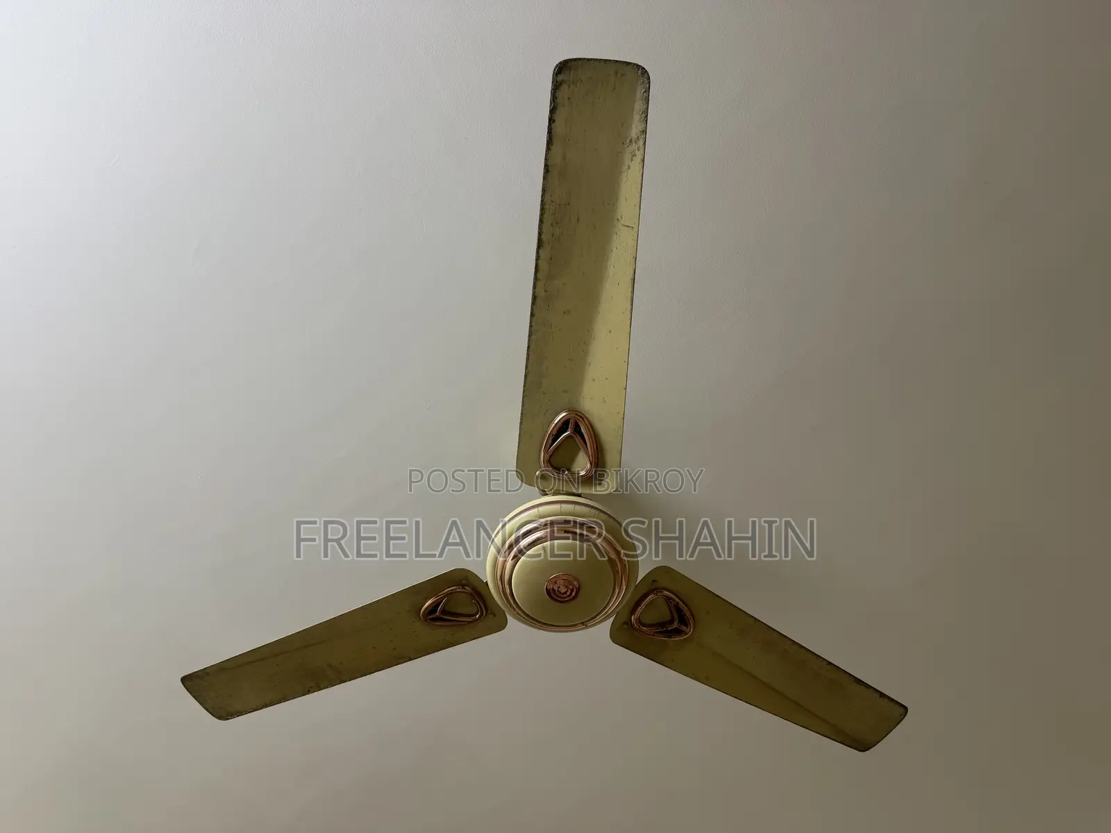 Fans for Sale