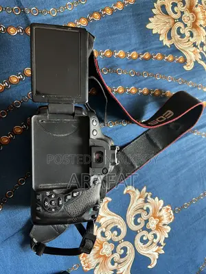 ক্যামেরা এবং লেন্স এবং ফ্ল্যাশ সবকিছু সেট