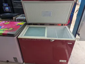 সিঙ্গার রেড কালার ডিপ ২৫০ লিটার.