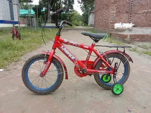 Prince 16-inch Full Serviced Kids Cycle