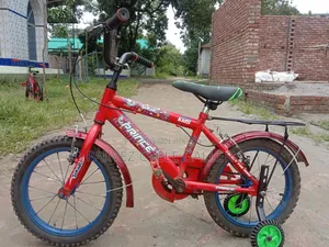 Prince 16-inch Full Serviced Kids Cycle