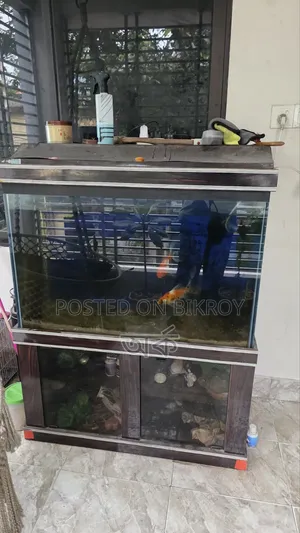 ১২ মিলি গ্লাসের ফিশ অ্যাকুরিয়াম
