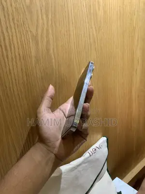 অ্যাপল আইফোন ১৪ প্রো ১২৮ জিবি সিলভার