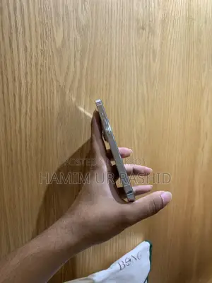 অ্যাপল আইফোন ১৪ প্রো ১২৮ জিবি সিলভার