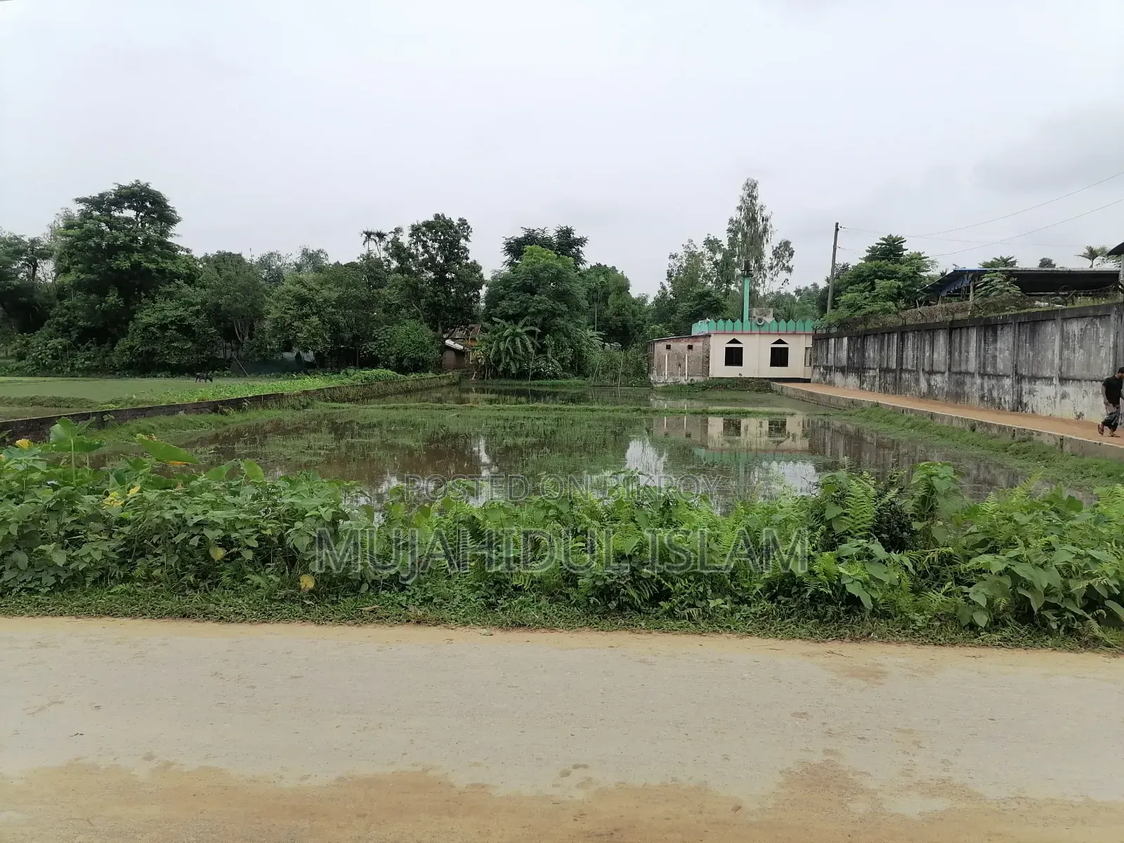 শ্রীমঙ্গল এয় রিসোর্টের সামনে।৮ শতাংশ জায়গা বিক্রি হবে
