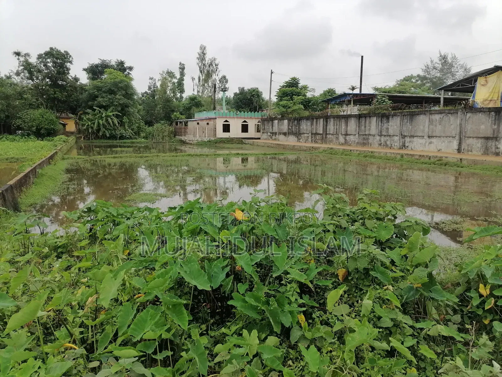 শ্রীমঙ্গল এয় রিসোর্টের সামনে।৮ শতাংশ জায়গা বিক্রি হবে