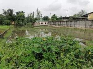 শ্রীমঙ্গল এয় রিসোর্টের সামনে।৮ শতাংশ জায়গা বিক্রি হবে