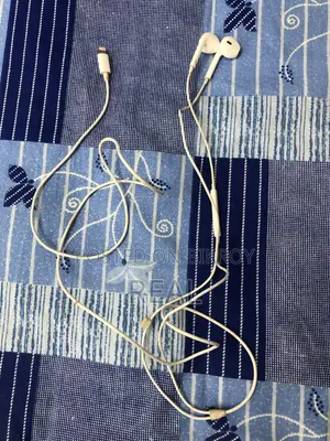 Apple Lightning EarPods