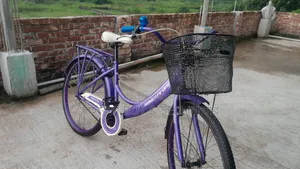Seventy One 26-inch Cycle for Women