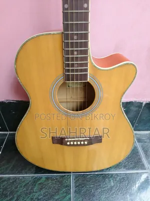 এক্স গিটার