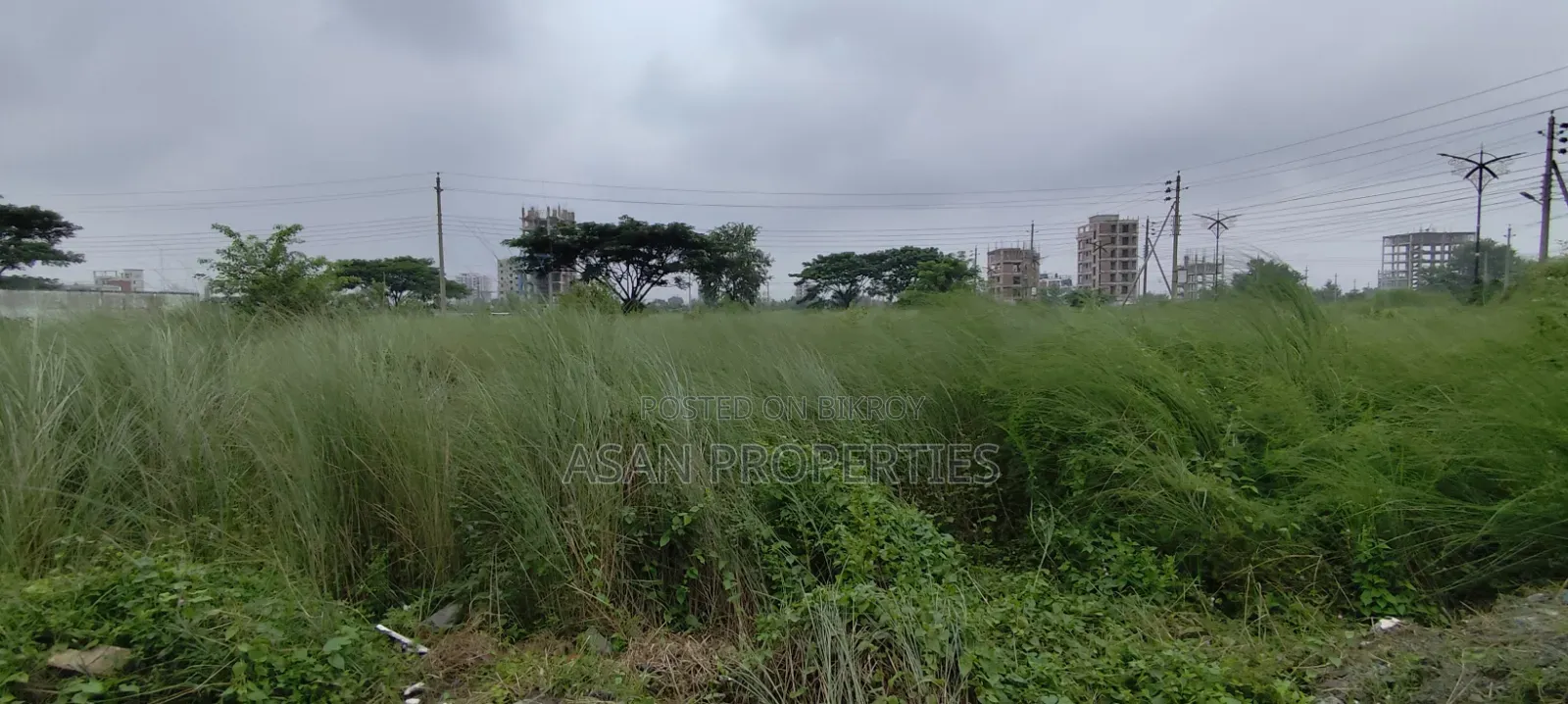বসুন্ধরা ৩ কাঠা পি ব্লক দক্ষিণমুখী জমি বিক্রয়ের জন্য