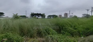 বসুন্ধরা ৩ কাঠা পি ব্লক দক্ষিণমুখী জমি বিক্রয়ের জন্য
