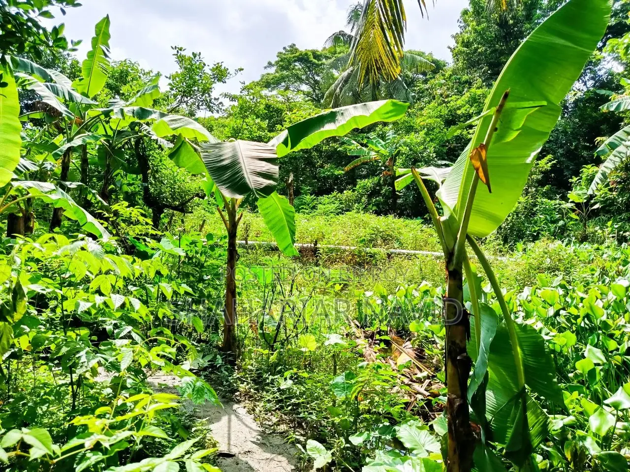 এই জমি বিক্রি হবে