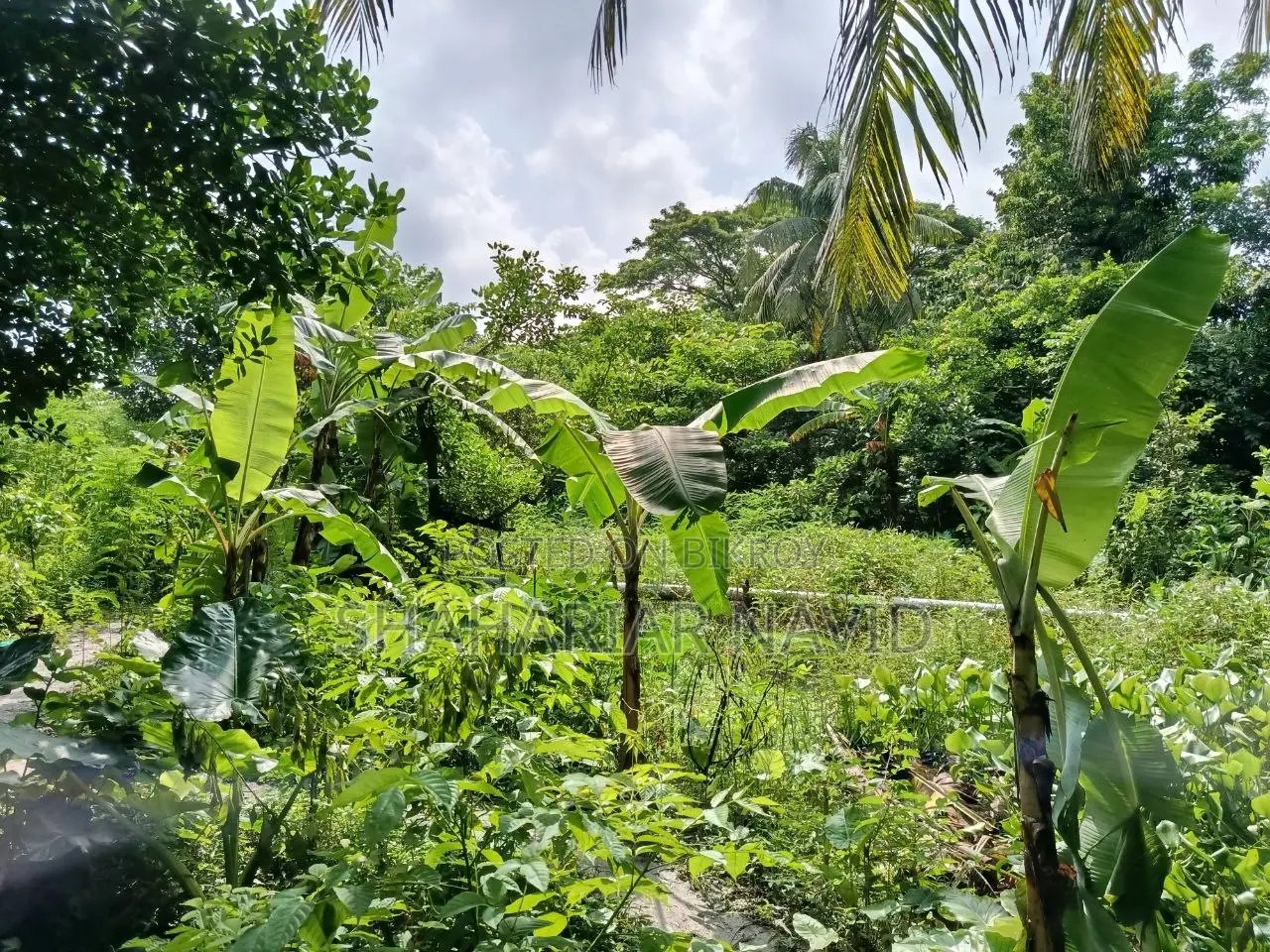 এই জমি বিক্রি হবে