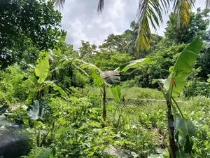 এই জমি বিক্রি হবে