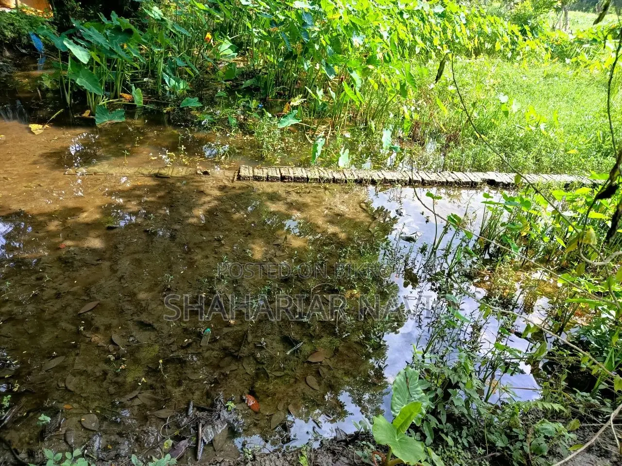 এই জমি বিক্রি হবে