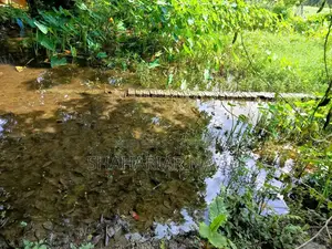 এই জমি বিক্রি হবে