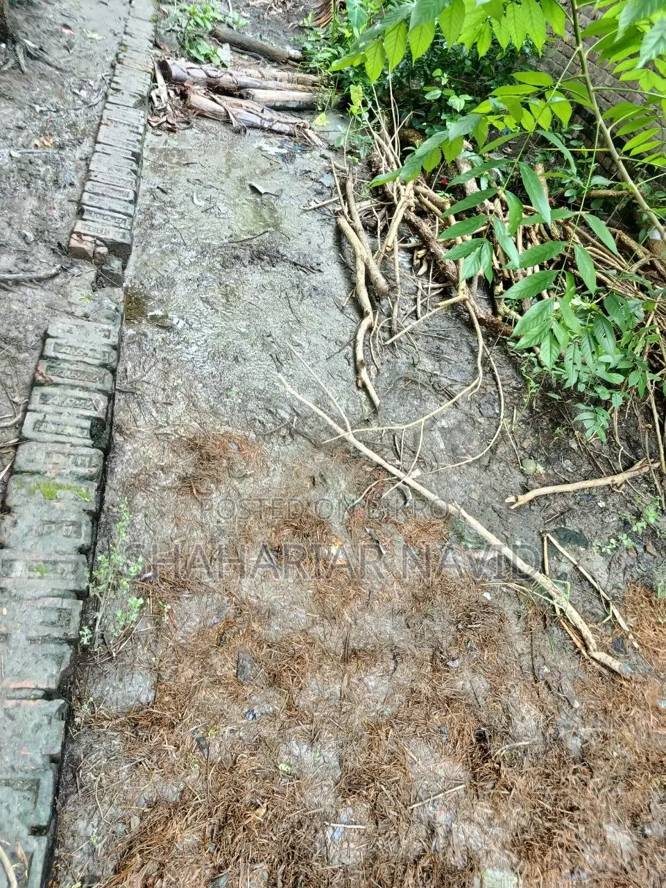 এই জমি বিক্রি হবে