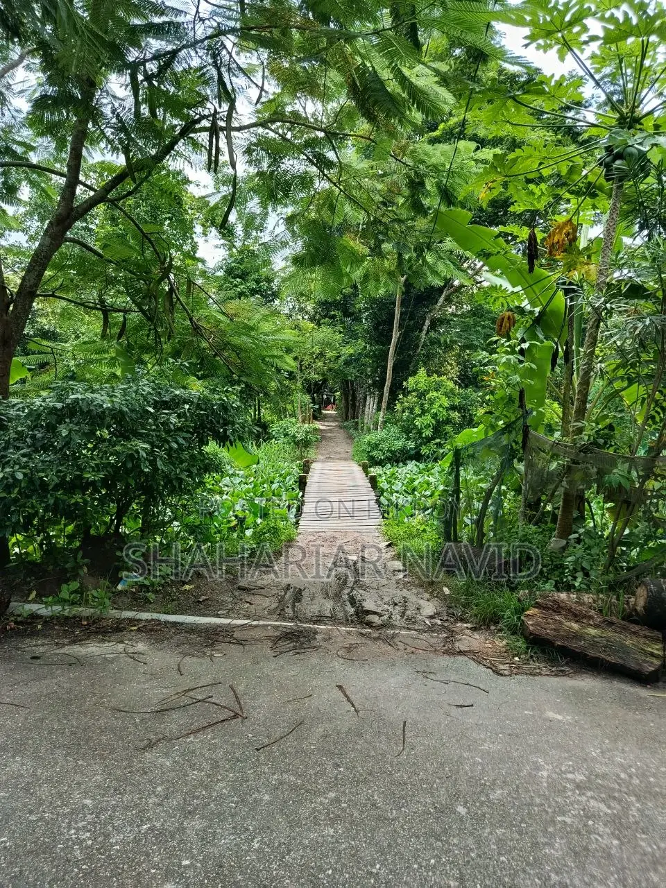 এই জমি বিক্রি হবে