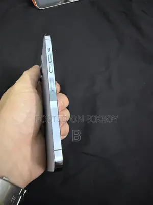অ্যাপল আইফোন ১৩ প্রো ম্যাক্স ২৫৬ জিবি ব্লু