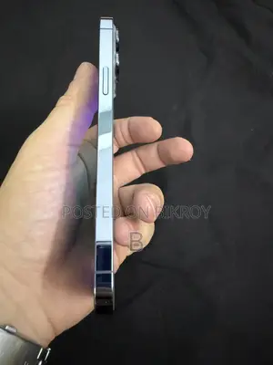 অ্যাপল আইফোন ১৩ প্রো ম্যাক্স ২৫৬ জিবি ব্লু