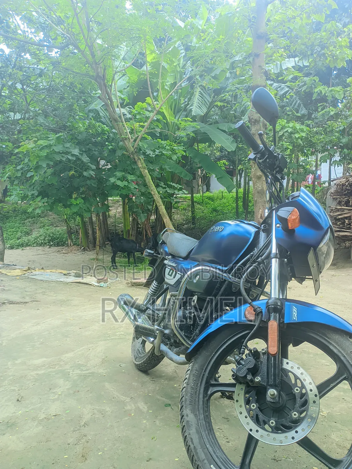 Hero Splendor Plus 2026 Blue