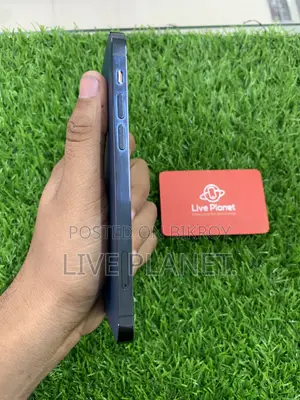 অ্যাপল আইফোন ১২ প্রো ২৫৬ জিবি ব্লু