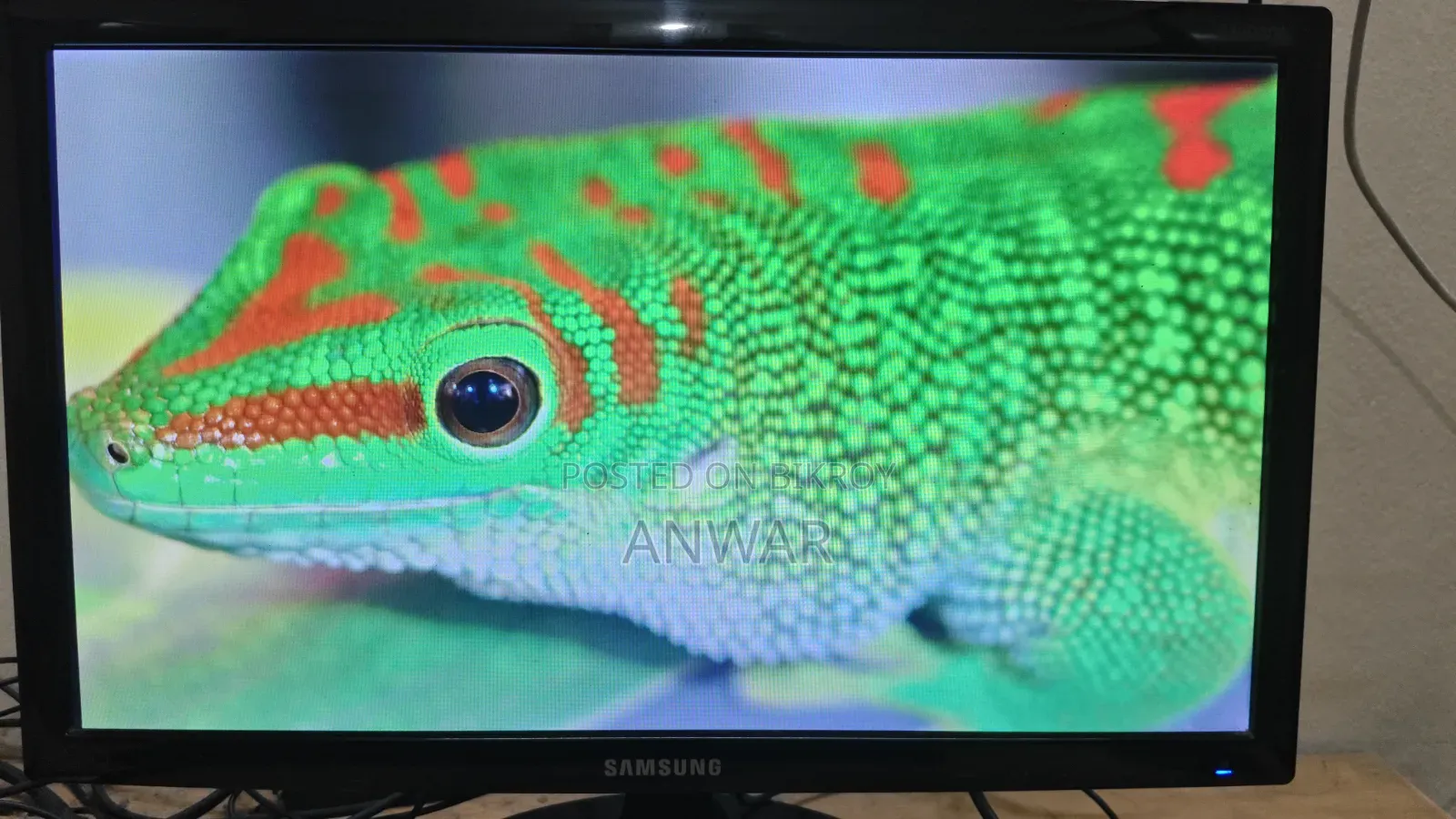 19 Inch Samsung Monitor