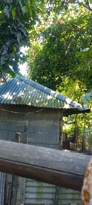 3-Bedroom House sale