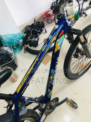 নতুন সাইকেল