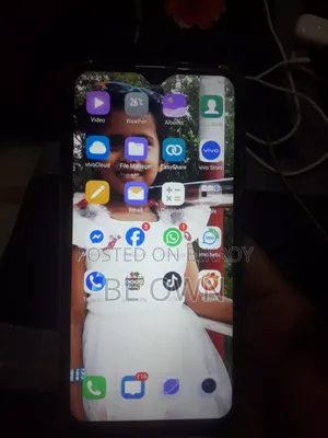 Vivo Y17 256 GB