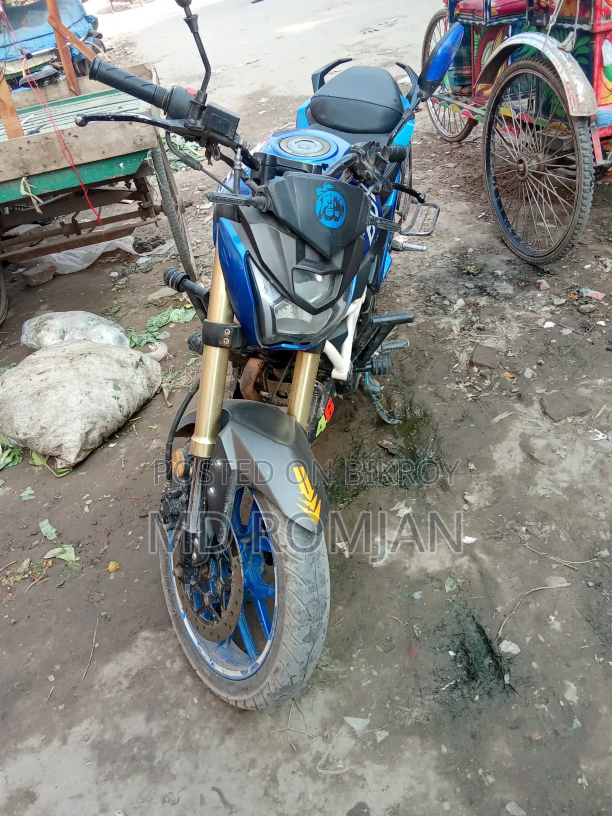 Runner Bolt 165R 2022 Blue