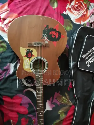 দুটি গিটার, তার মধ্যে একটি বিক্রি করা হবে