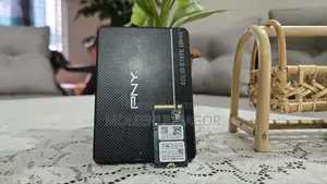 Pny Cs900 Sata 250gb SSD