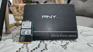 Pny Cs900 Sata 250gb SSD