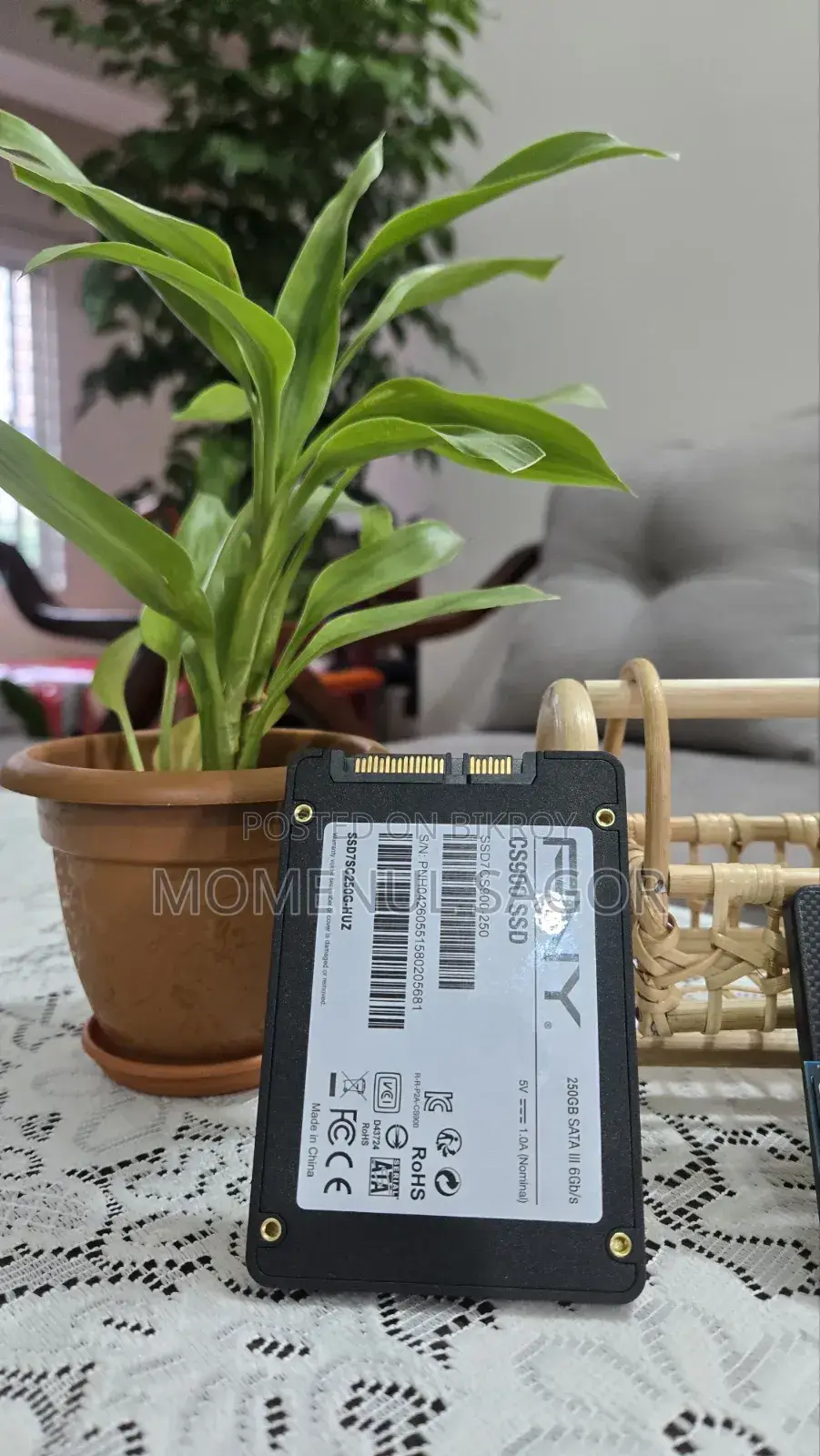 Pny Cs900 Sata 250gb SSD