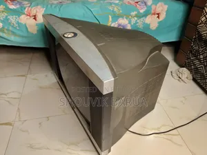 র্যাংস আরসি২১১৪ ২৪-ইঞ্চি সিআরটি (টিউব) কালার টেলিভিশন