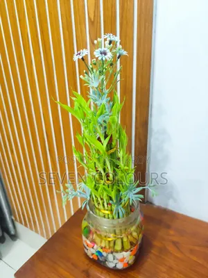 কমার্শিয়াল স্পেস বিক্রয়