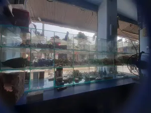 কাচের বাক্স